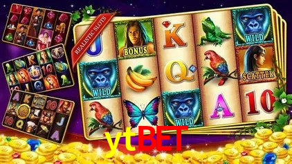 ytbet Salvador - Promo Stats